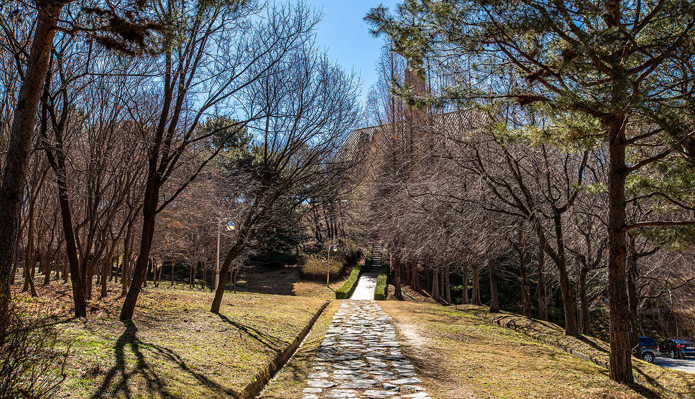 대학교회 사진3